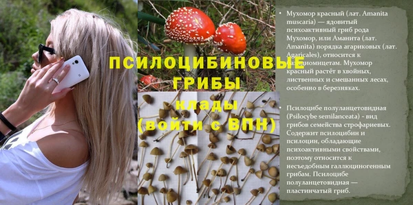 бошки Богородицк