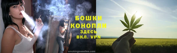 бошки Богородицк