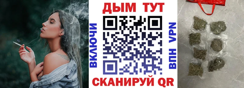 Бошки марихуана Amnesia  купить наркоту  Абакан 